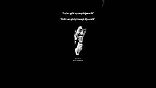 Sevmeyi Öğrenemedik.