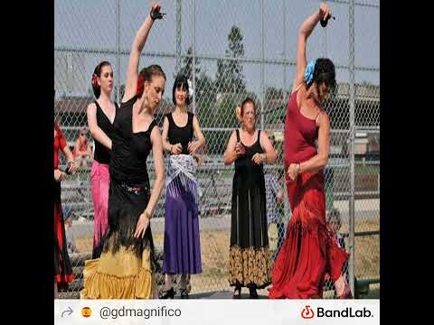 Flamenco Gypsies Gd Magnífico Flamenco Gypsies Gd Magnífico