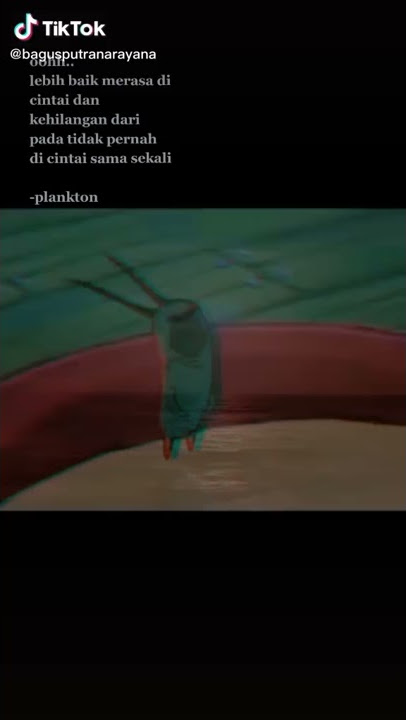 kata kata bijak Plankton