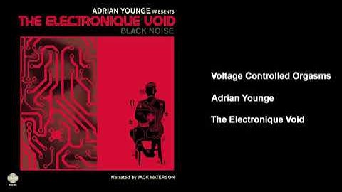 The Electronique Void - Voltage Controlled Orgasms