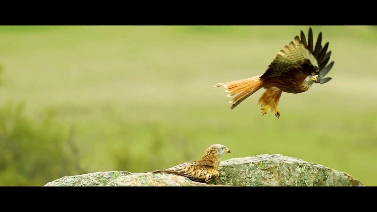 Hernán-Pérez, un pueblo de la Comarca de Sierra de Gata.