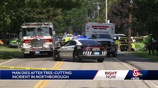 Tree worker killed when bucket hits live wires