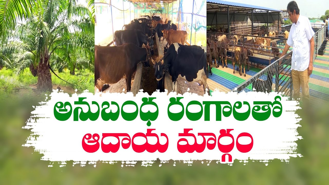 సమీకృత వ్యవసాయం | Integrated Farming | How to Get Great Earnings ...