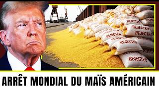 CRISE du maïs 7 États américains menacés de faillite après une interdiction mondiale