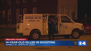 14-year-old among two people killed in overnight shootings