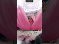 Lotus flower entry🌸👫🌸 call 9345112353 #trending #shorts #viral #lotusflower #event #puberty #flowers