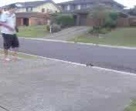 Team Associated RC18 Bash