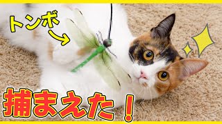 あまりにもリアルすぎる猫のおもちゃが売られていました screenshot 5