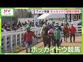 馬産地から“春の蹄音”　ホッカイドウ競馬が開幕　去年の売上は573億円