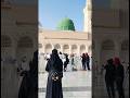 hr ik maqsad main Allah ko...#naatsharif #pukaro