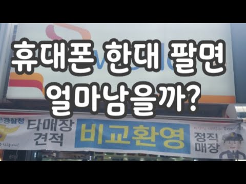 자동차보험조회