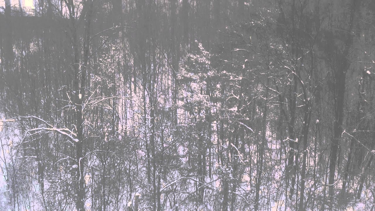 sNOw day, but still 10 days till winter. YouTube