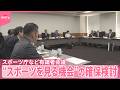 【スポーツの放映めぐり】国民の“スポーツを見る機会”の確保検討  スポーツ庁など有識者会議