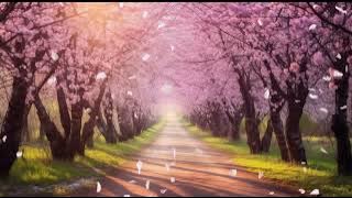 Relaxing Guitar Music For Study, Relax, Work and Sleep - The Healing Strings