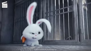 The Secret Life Of Pets Rescuing Duke And Max Hd Clip