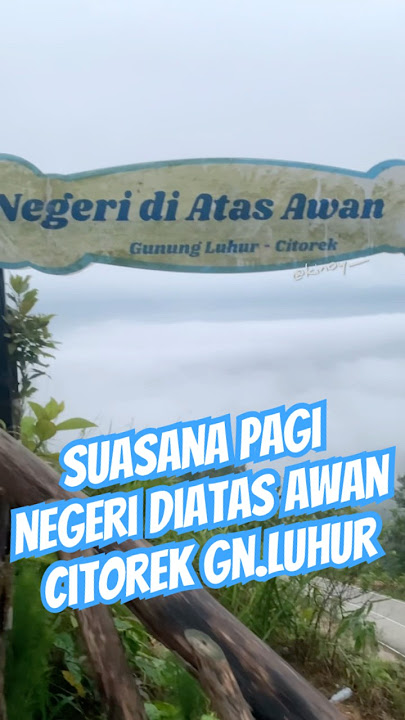 Suasana pagi hari Negeri Diatas Awan Citorek Gunung luhur #citorek #gunungluhur #negeridiatasawan