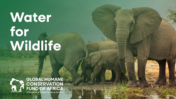 Saving Wildlife from Drought with Solar-Powered Water Pumps