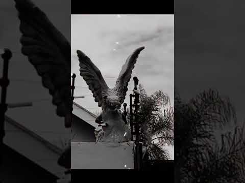 Ruff Kid Ft Shenky Mwebaleya King Dandy Crazy Dedication HD Visualizer By Dir Maydox 