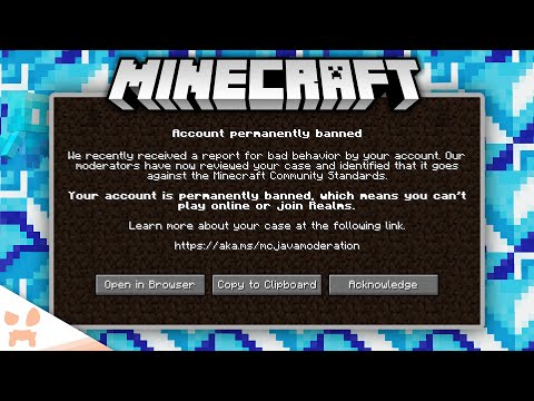 An Update On Minecraft's Most Controversial Update...