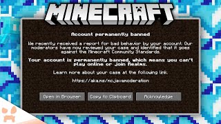 Celebrity An Update On Minecraft's Most Controversial Update... Profile