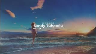 DJ THE RADIO SLOWED VERSION - Sandy Tuhatelu Remix