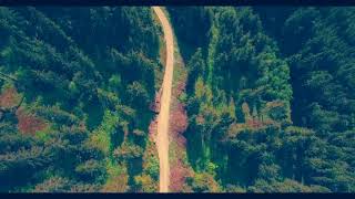 Edlar kedem - You and me Lyrics