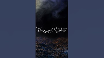 وَحيلَ بَينَهُم وَبَينَ ما يَشتَهونَ كَما فُعِلَ بأَشياعهم|الدوسري|تلاوة خاشعة رائعة |#ياسر_الدوسري