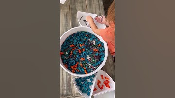 Colored Pasta Sorting #sensory #sensoryplay