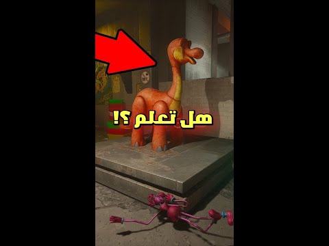 فيديو: هل تم إلغاء عرض بوبي وداماريس؟