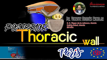 THOARCIC TRUNK BLOCKS. PARAESPINAL BLOCKS (WORKSHOP WCRA 2023)