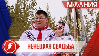 Пуровчане зарегистрировали свой брак на Всероссийском свадебном фестивале
