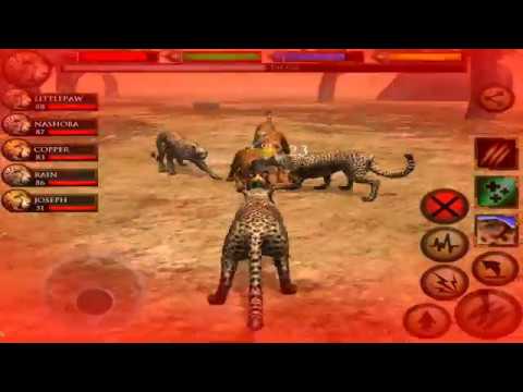 cheetah ultimate savanna simulator