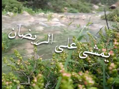 دحيه مرحبا جانا المطر حلات وتس اب 