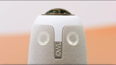 Meet the Meeting Owl