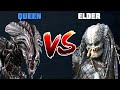 Queen vs elder  alien vs predator fight  who wins