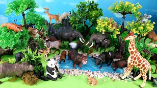 Safari Diorama and Herbivorous Animal Figurines