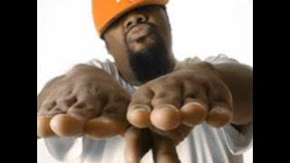 Fatman Scoop - Put your Hands up (Original Remix) DJ King