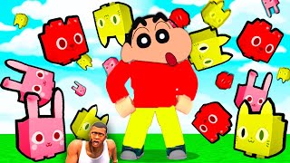 SHINCHAN BECAME BILLIONAIRE PET in ROBLOX | Pet Simulator X PART 3 game hindi shinchan franklin chop