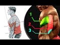 8 تمارين الترايسيبس وستهداف جميع زوايها | BEST exercices  triceps