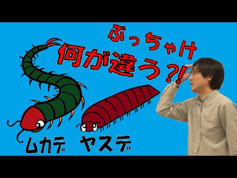 【解説】ムカデとヤスデは何が違うか今さら聞けないので解説してもらったらガチ授業に