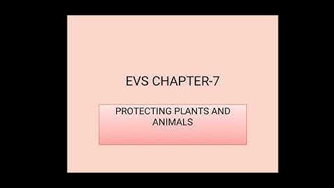 Chapter 7 EVS Protecting plants and animals
