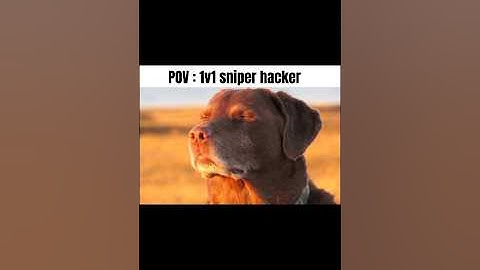 Hacker❎ Developer✅ #callofduty #memes #codm #callofdutymobile #shortsfeed #shortsviral #trending