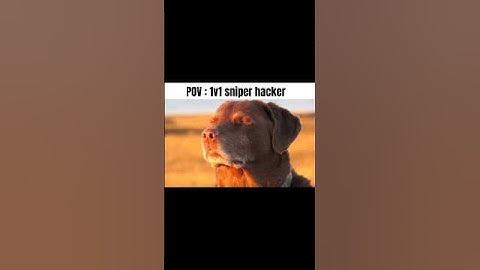 Hacker❎ Developer✅ #callofduty #memes #codm #callofdutymobile #shortsfeed #shortsviral #trending