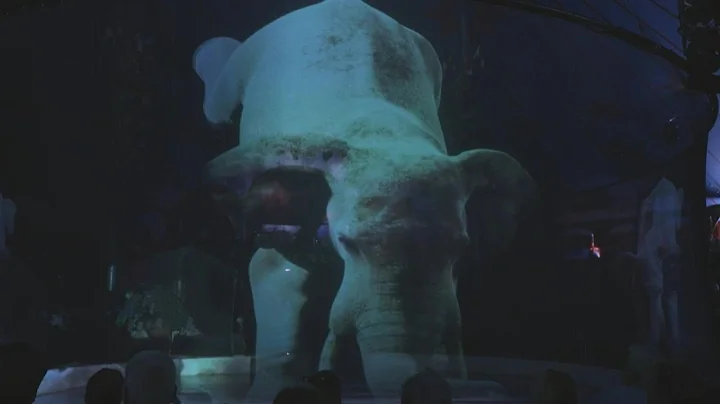 German circus replaces live animals with holograms