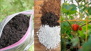 The Potting Soil Industry