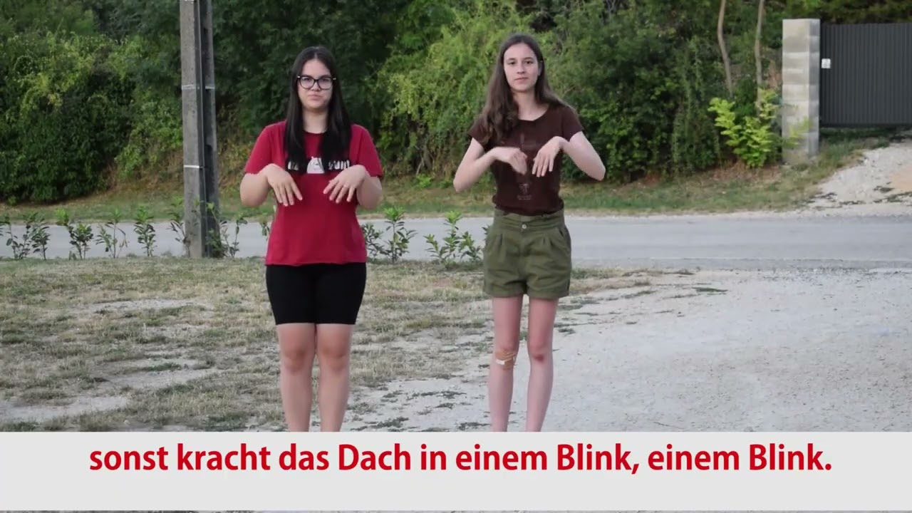 Kleiner Fink - Ungarisches Lied mit Tanz