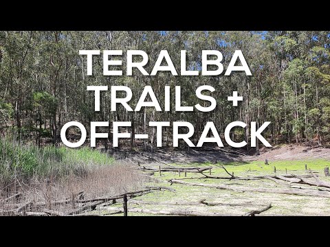 Fun Things to Do in Teralba | Travel Guide (2024) | Best Places to Visit