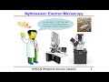 Busting 7 common electron microscopy-related myths