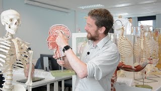 Brain - midline neuroanatomy part 1