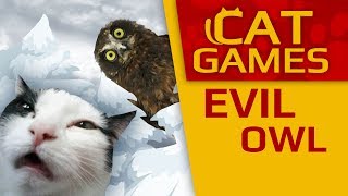 CAT GAMES   EVIL OWL (Entertainment VIDEOS FOR CATS TO WATCH)